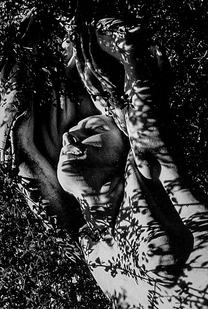 Фотография автора Marina Martorelli