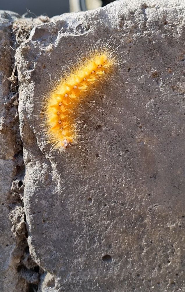 Фотография автора Светлана Рыжих