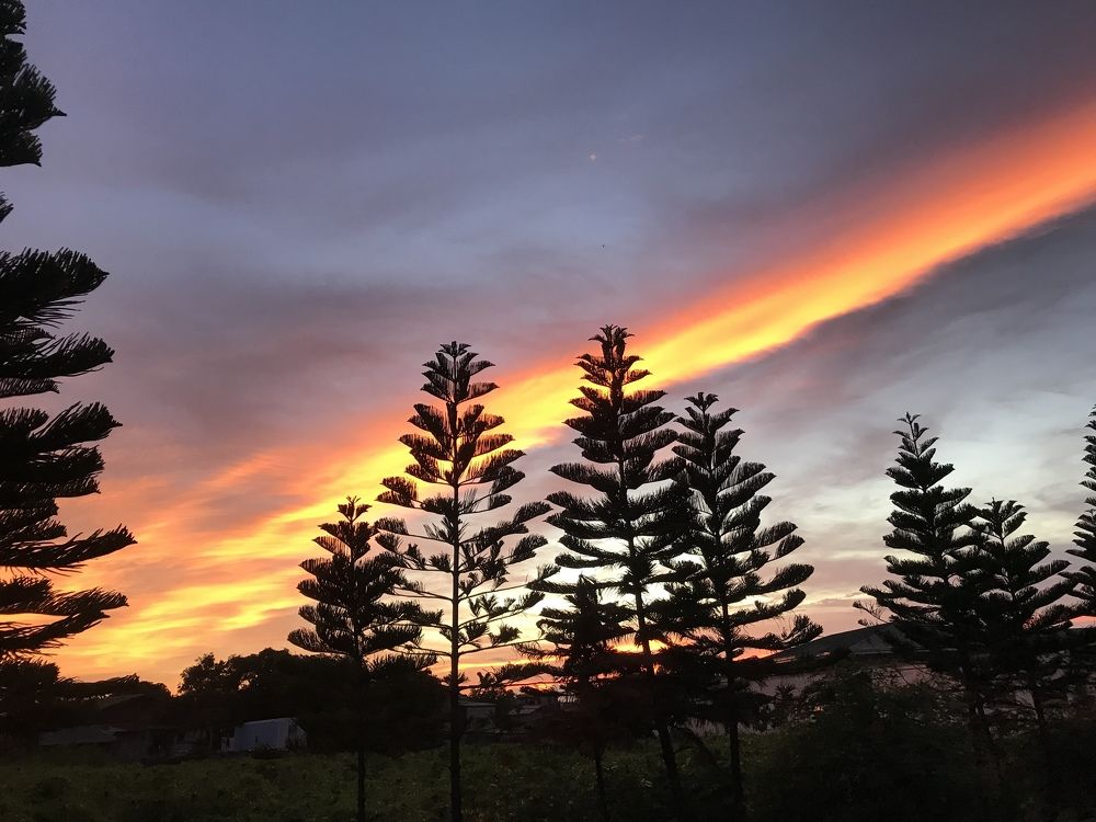 Photograph by Sr. Ma. Jenny Mhy-sy Yasa