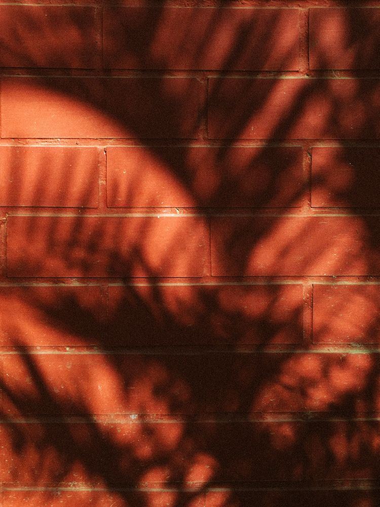 Photograph by Sr. Ma. Jenny Mhy-sy Yasa