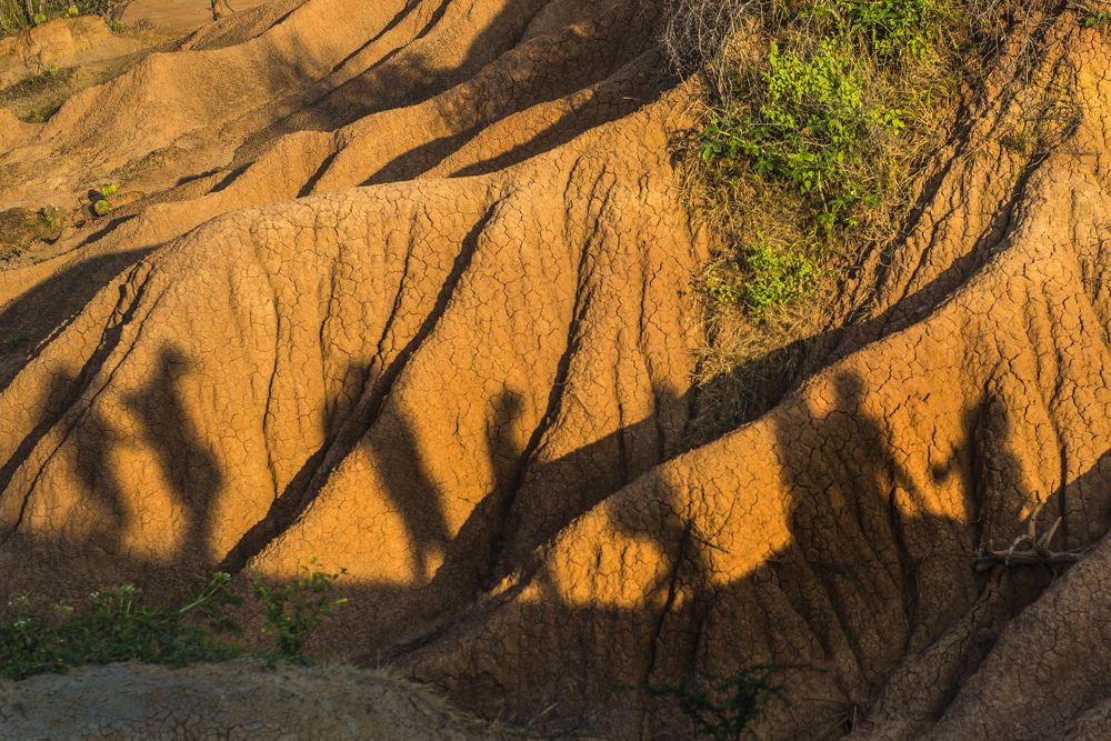 Photograph by Jorge Ivan Vasquez