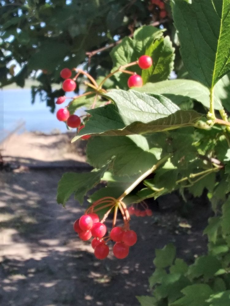 Photograph by Марта Васильева