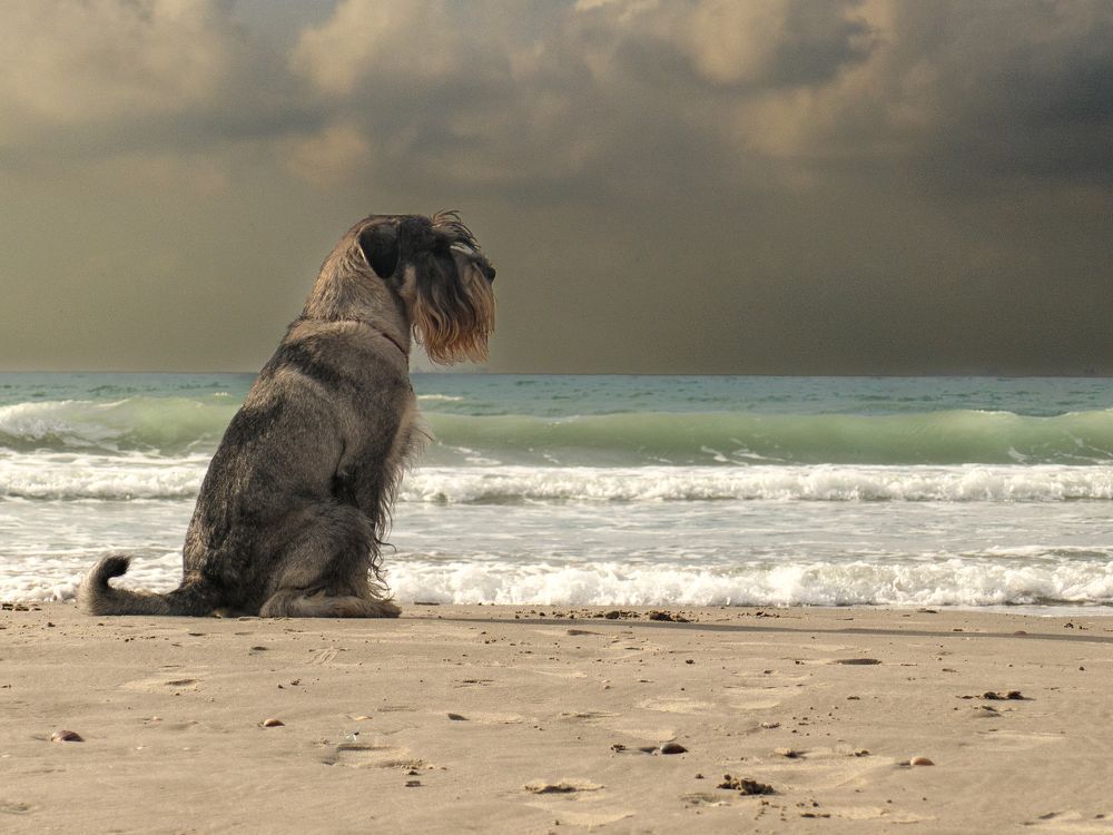 Photograph by Lev Tsenter