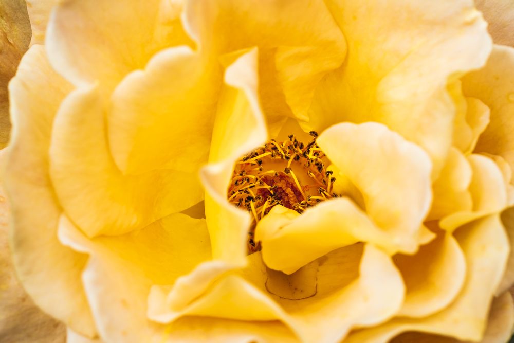 Photograph by Jorge Ivan Vasquez