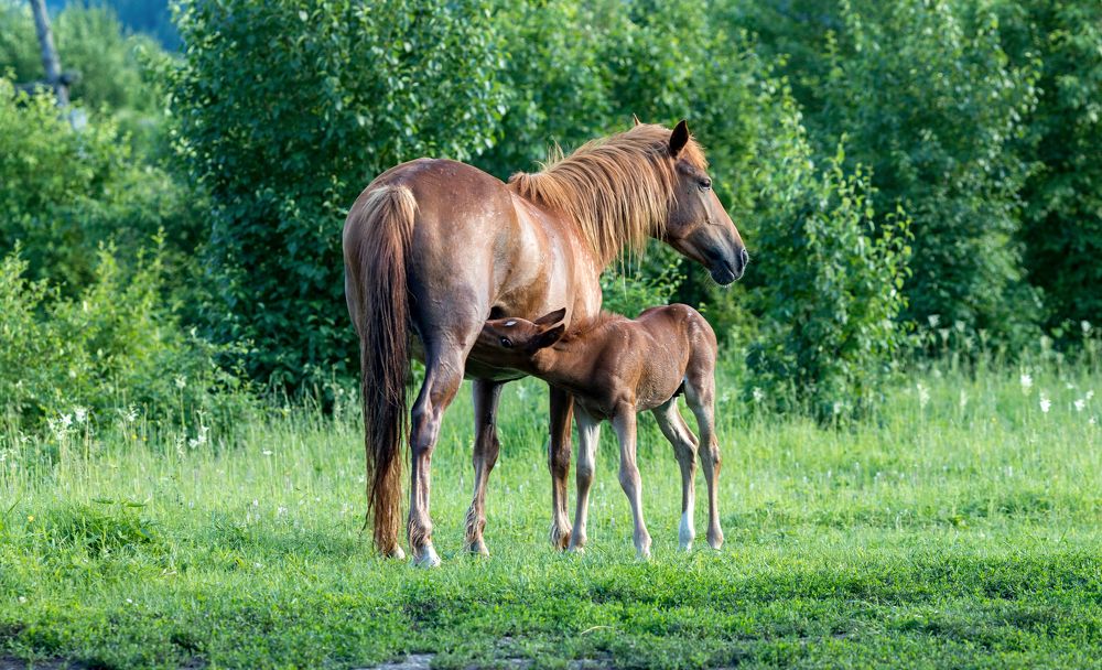 Фотография автора Владимир