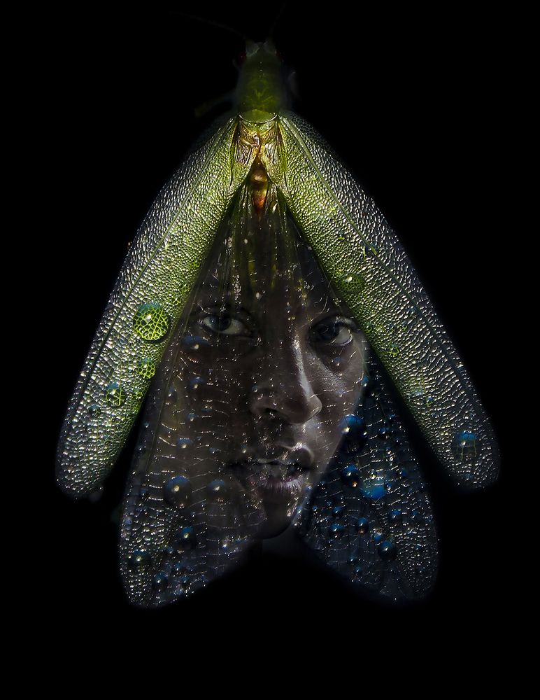 Photograph by Jehovanny Rodríguez