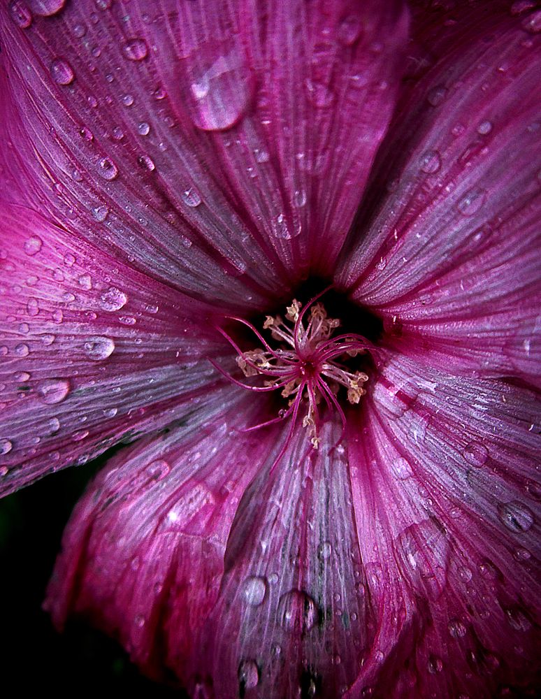 Photograph by Зоя Быкова