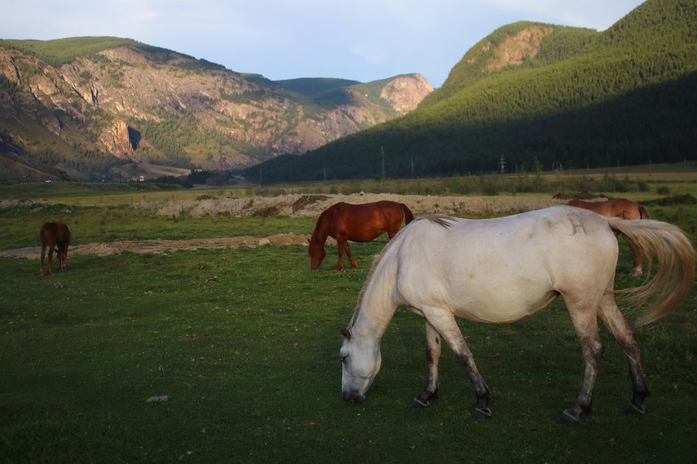 Единение с природой.