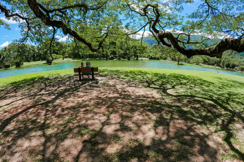 A Mother's Love For A Child