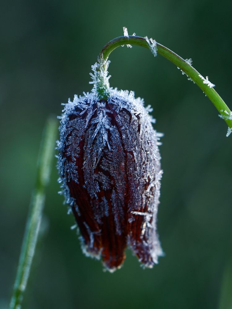 Photograph by Сергей Конюшенко