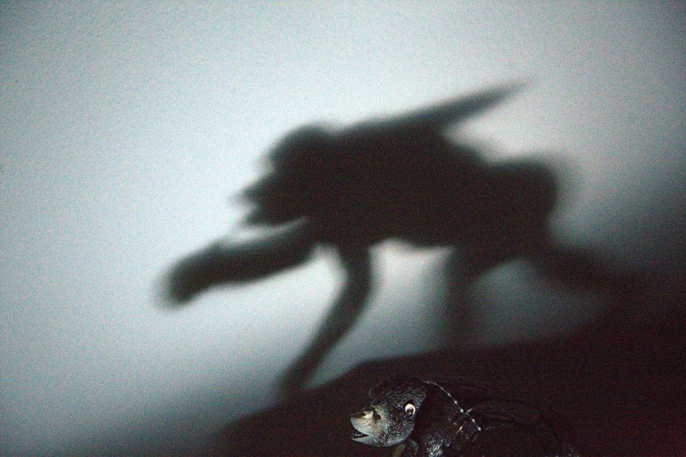 Photograph by Сергей Рапопорт