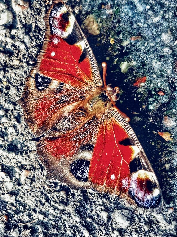 Photograph by Титаренко Людмила