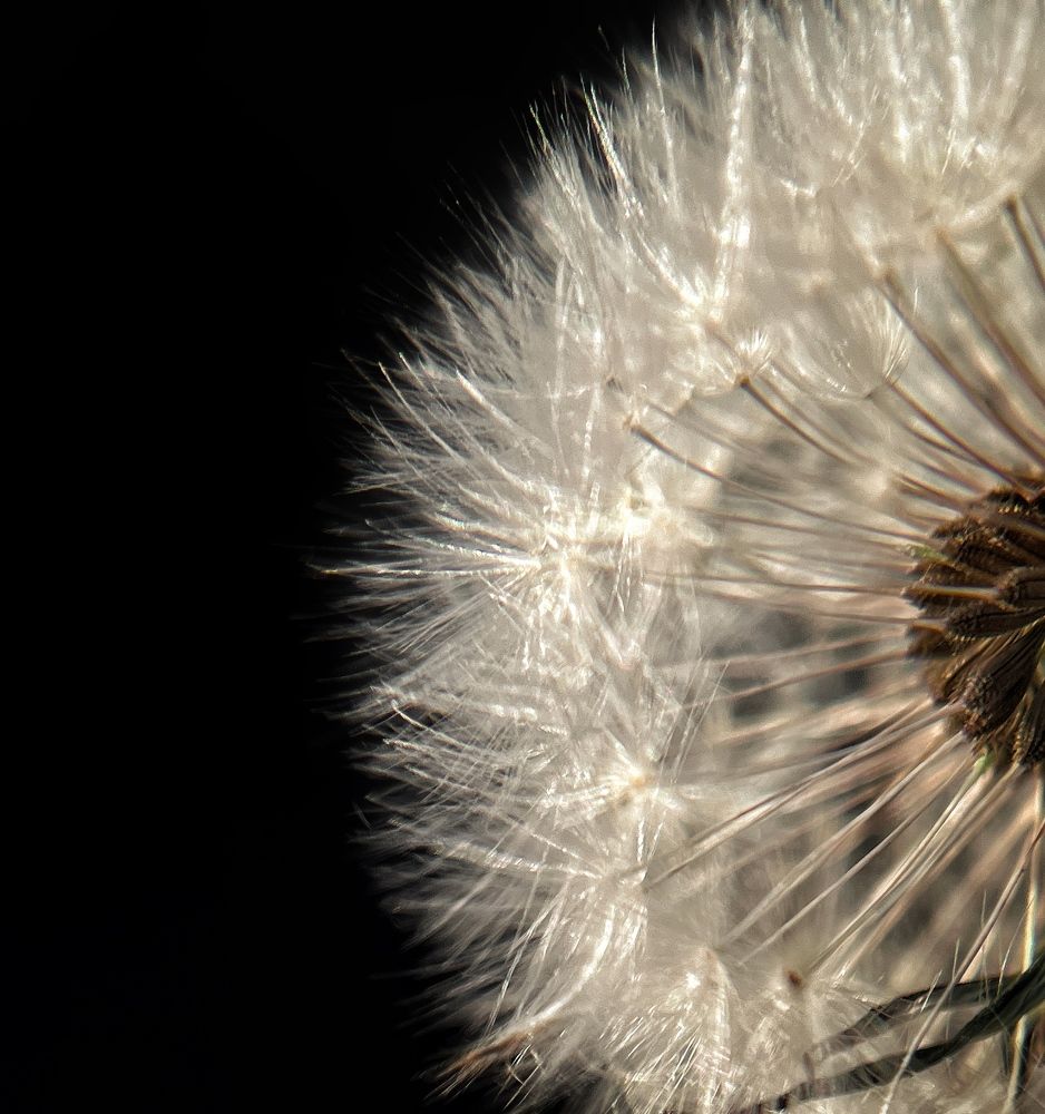 Photograph by Елена Фатеева