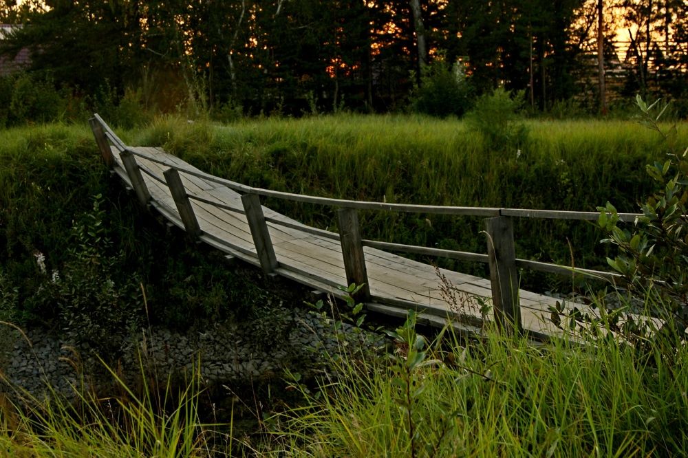 Photograph by Марина Мишутина