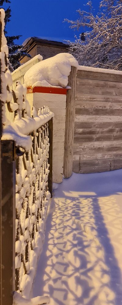 Photograph by Natasha Kim