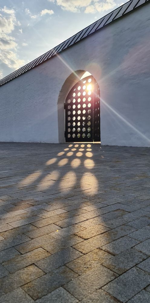 Photograph by Natasha Kim