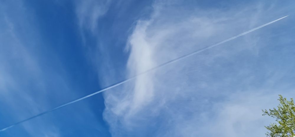 Photograph by Natasha Kim