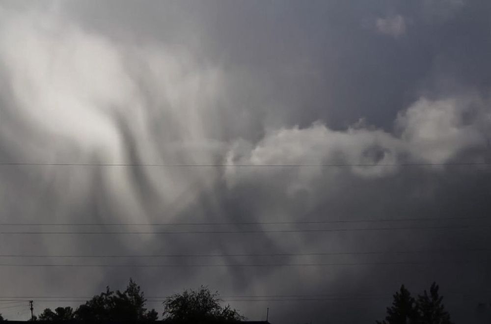 Photograph by Natasha Kim