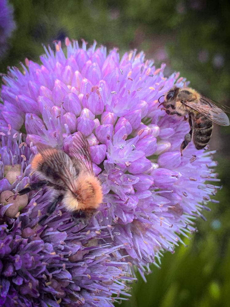 Photograph by Анна Потапова