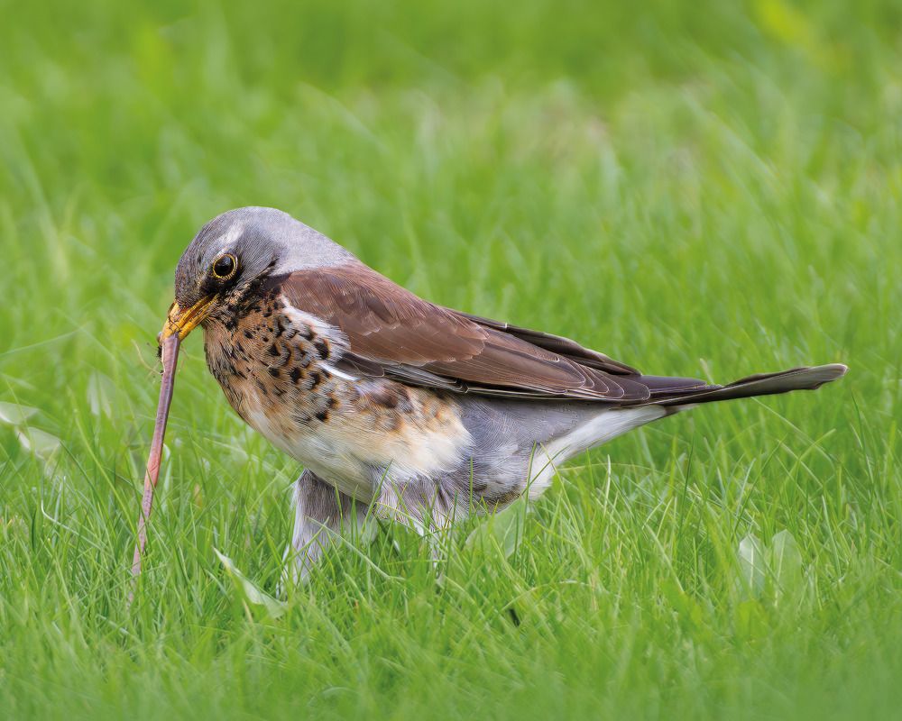 Пойдём на рыбалку!
