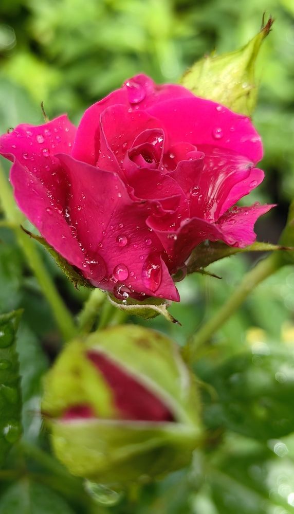 Photograph by Maiya Bulatova