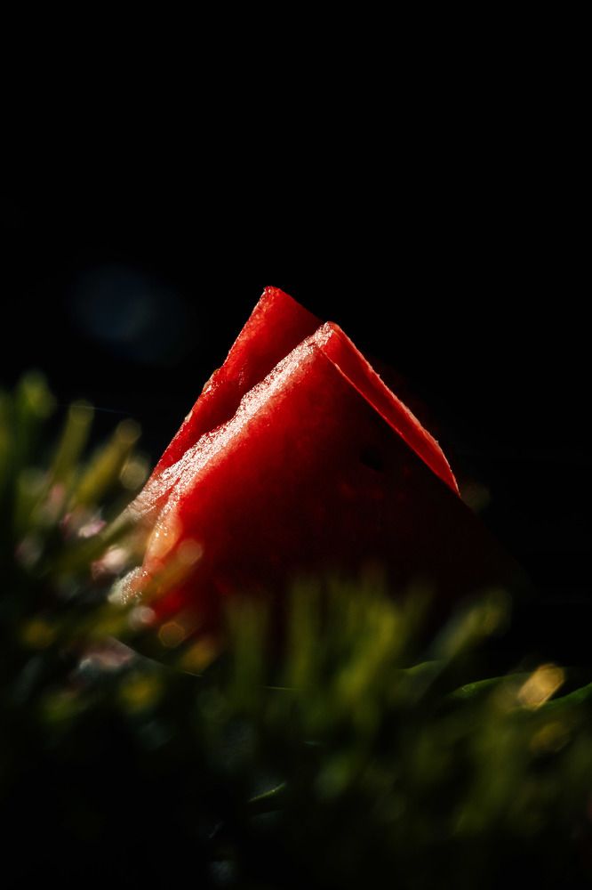 Photograph by LIMON DEY