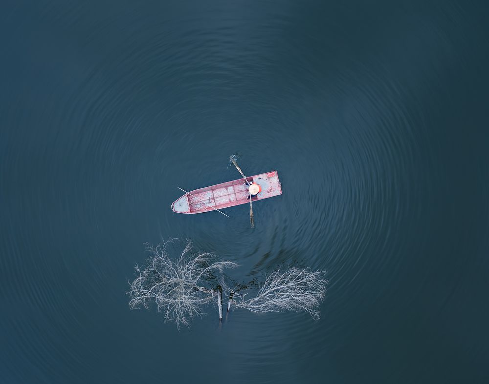 Photograph by MT-nguyen