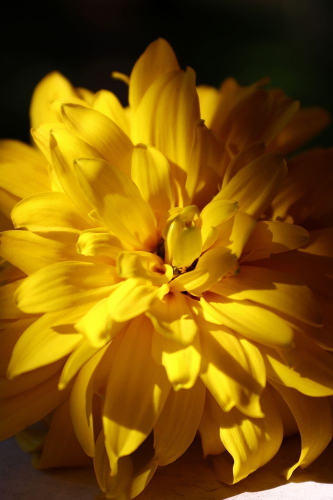 Photograph by Ирина Садовникова