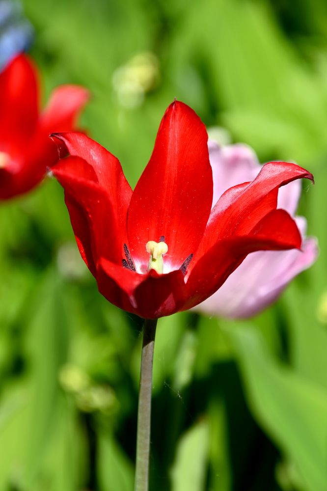 Photograph by Ольга Михайлова