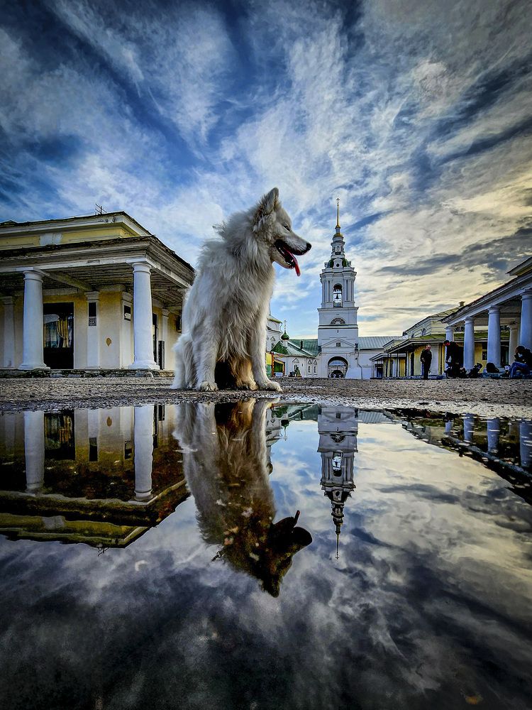 Photograph by Nikolay Nikolaev