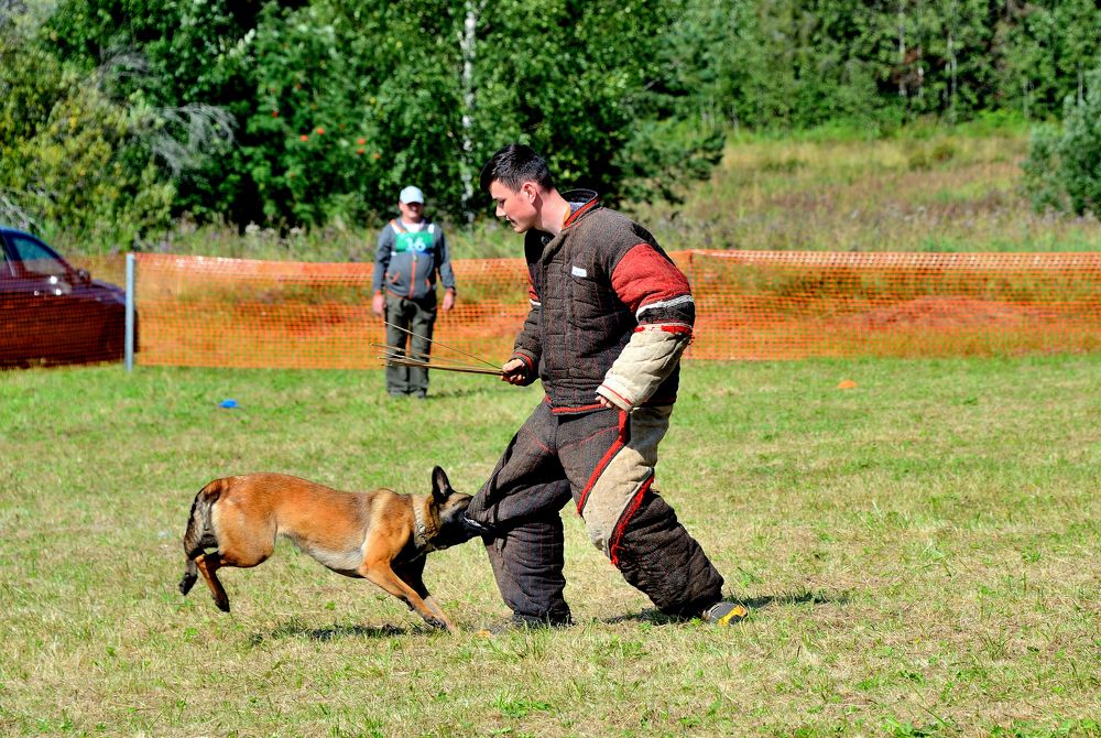 Photograph by Александр Зуев