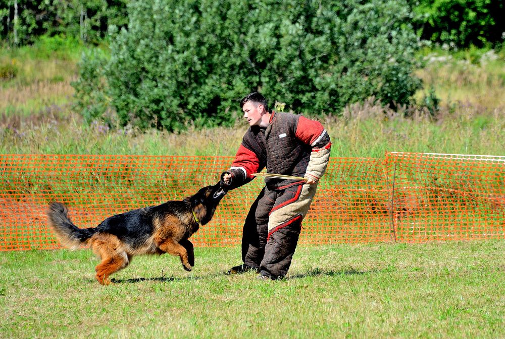 Photograph by Александр Зуев