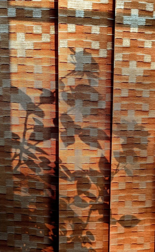 Фотография автора Васильева Ирина