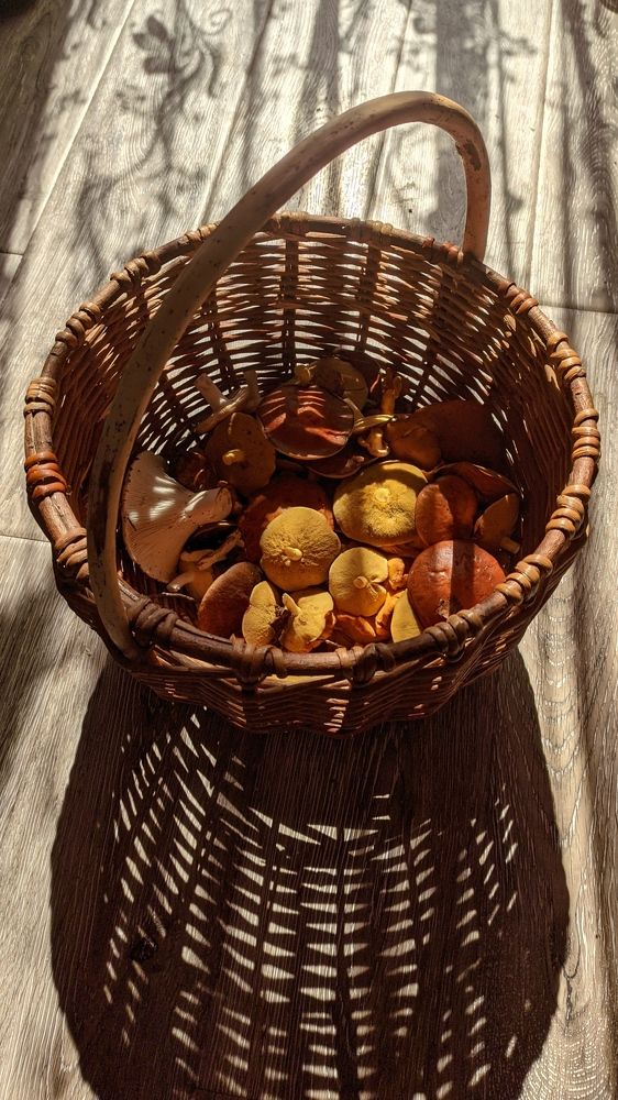 Фотография автора Васильева Ирина