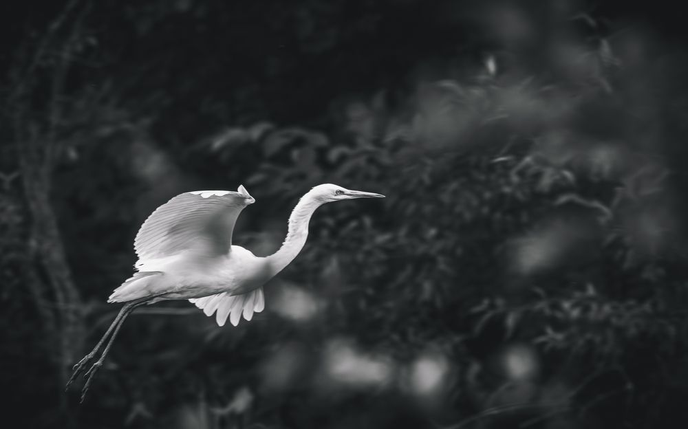 Photograph by Алексей Крылов