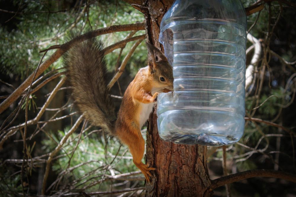 Photograph by Любовь Иванова