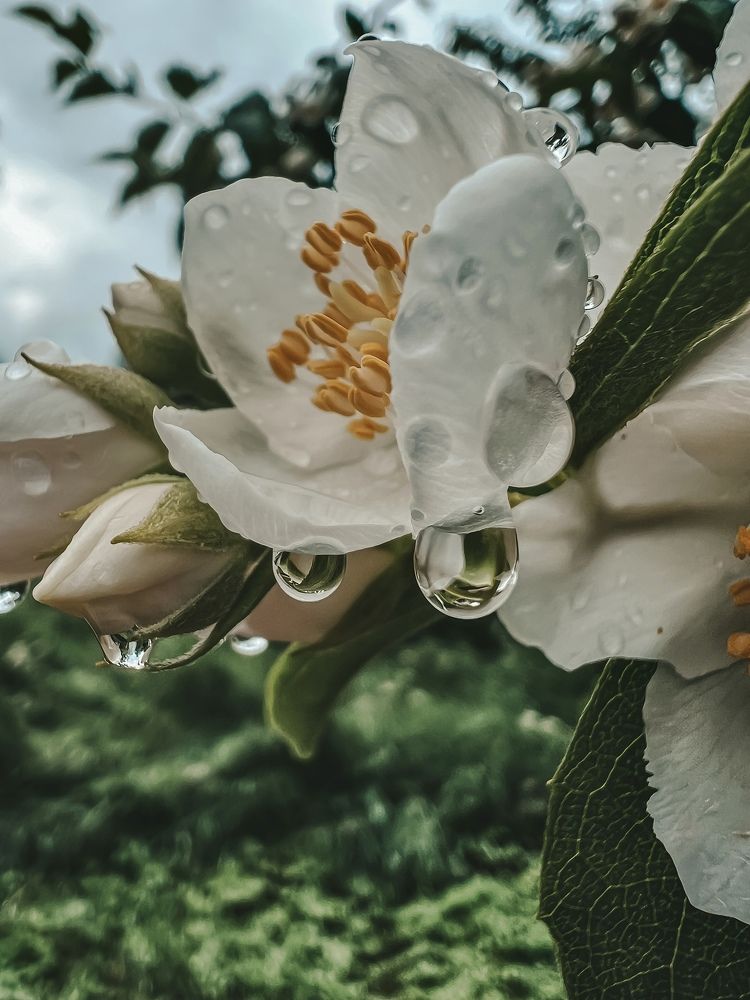 Фотография автора Мария Жукова