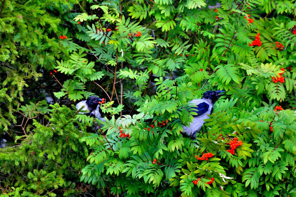 Photograph by Александр Зуев