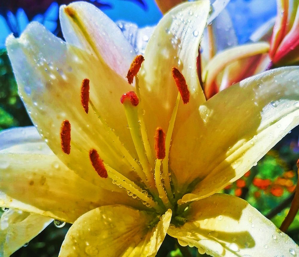 Photograph by Татьяна Бешенкина