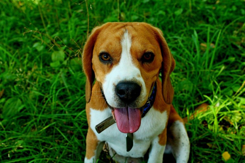 Photograph by Дмитрий Симагин