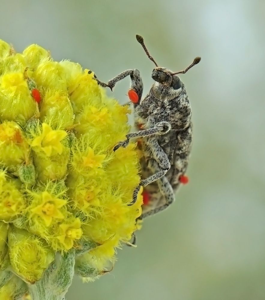 Photograph by Наталья Соколова