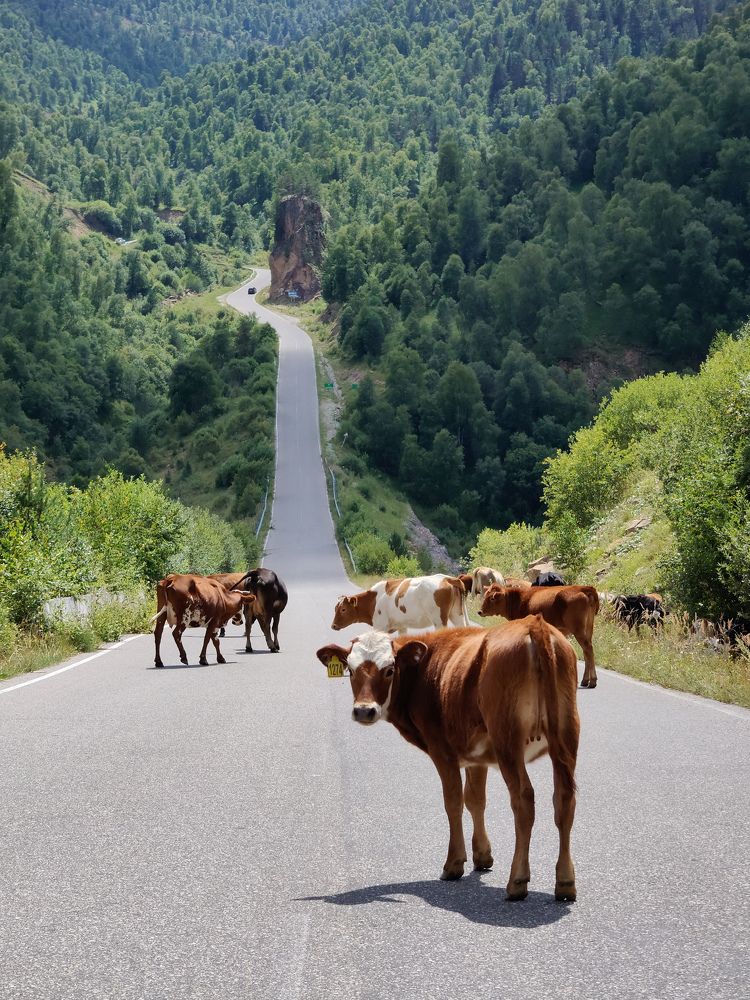 Photograph by Елена Чиркова