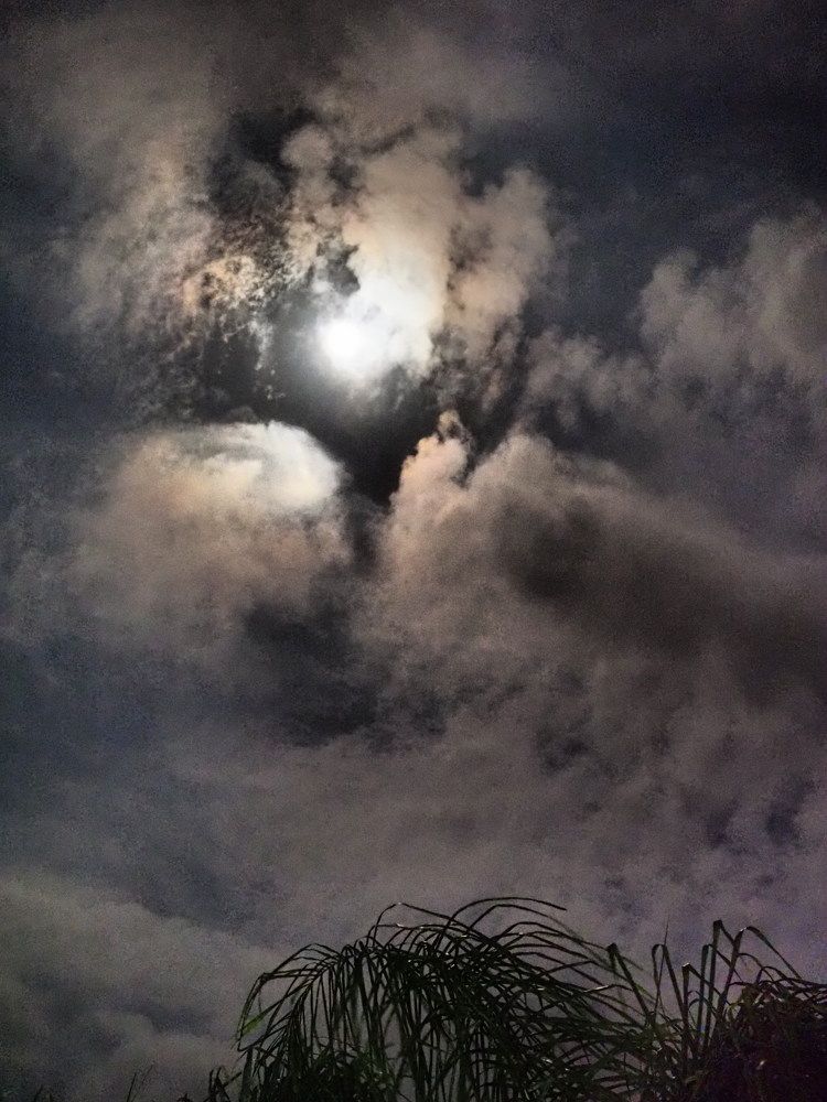 Photograph by Сергей Борисов