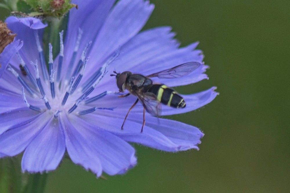 Photograph by Алексей Логинов