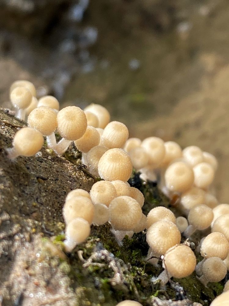 Photograph by Станислава Садыкова