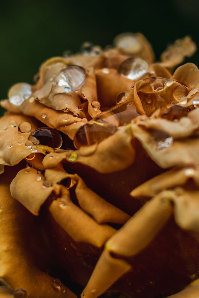 Photograph by Екатерина Абатурова