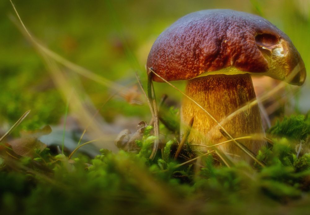 Photograph by Кокорин Алексей