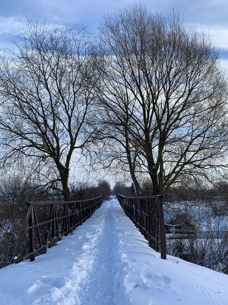 Фотография автора Ирина Шпаковская