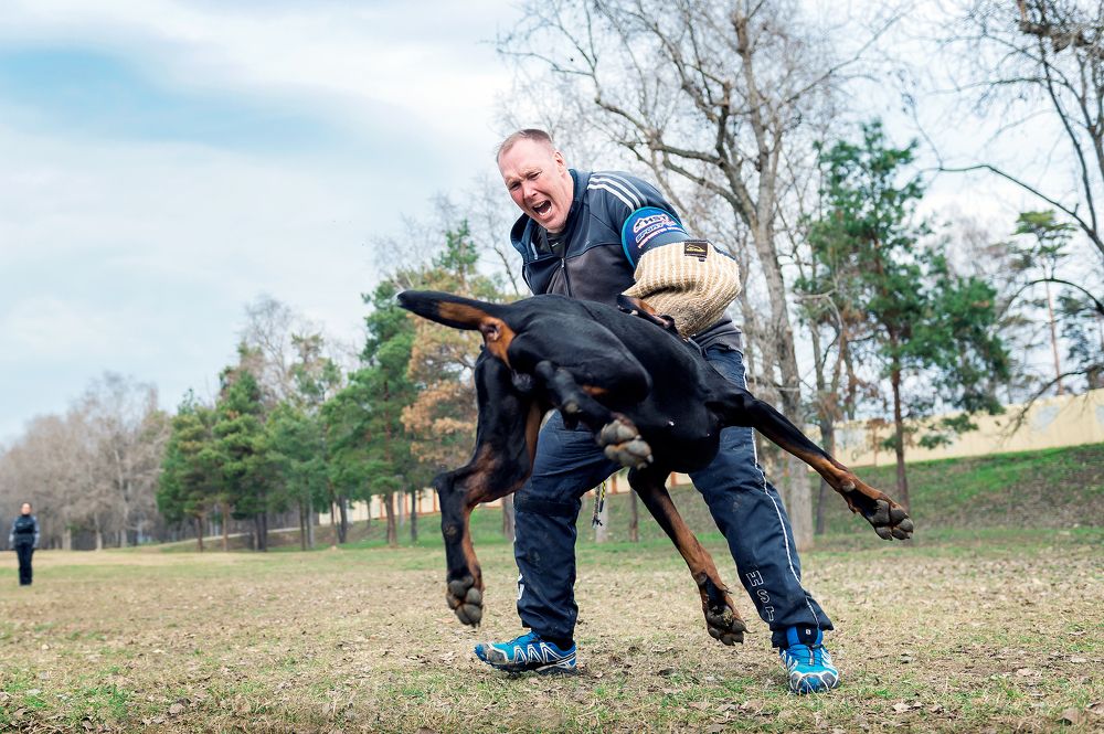 Photograph by Олег Гаричкин