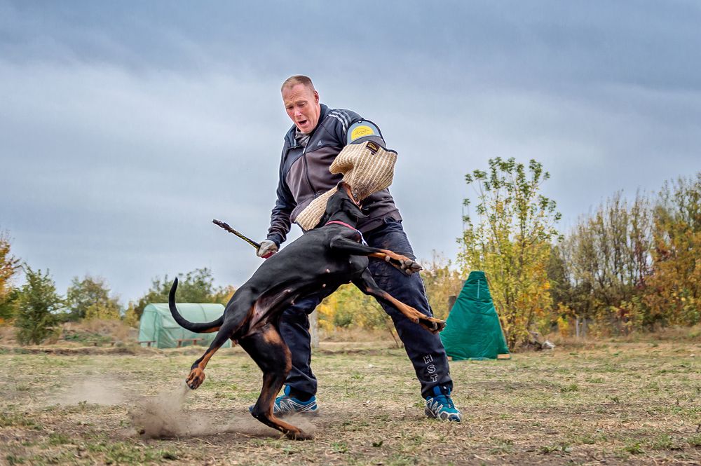 Photograph by Олег Гаричкин